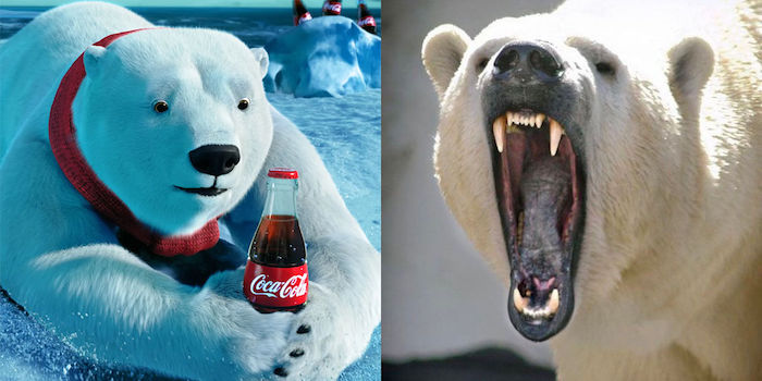 Coca-Cola bear and a bear in life